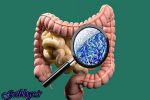 شناسایی ۶۰۰۰ ژن مقاوم به آنتی بیوتیک در باکتری های روده